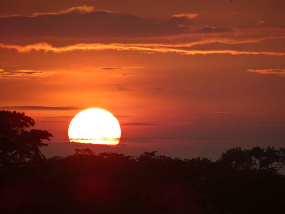 Amazon Sunset